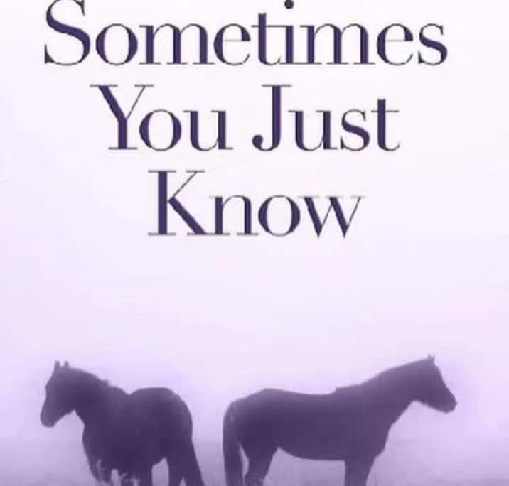 Sometimes You Just Know