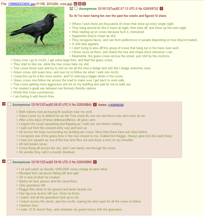 File: 1386662233025.jpg-(11 KB, 247x204, crow.jpg) GI Anonymous 12/10/13(Tue)02:57:13 UTC-5 No.520558752 ! 00 So /b/ I've been having fun over the past few weeks and figured I'd share. > Where I work there are thousands of crows that show up every single night. > They hang around for like 4 hours at night, then take off, and show up the next night. > Was reading up on crows because f--- it, interested. > Apparently they're smart as s---. > They recognize faces, and can form preferences in people depending on how they're treated. > A wild idea appears. > I start trying to piss off this group of crows that hang out in the trees near work. > I throw rocks at them, and shake the tree and chase them whenever I can. > Meanwhile, the grass crows across the street, just chill by the mcdicks. > Every time I go to mcd's, I get extra large fries, and feed the grass crows. > They start to like me, while the tree crows hate my s---. > Tree crows throw nuts and try to s--- on me all the time (i dodge bird s--- like I dodge wrenches now) > Grass crows still super bros, and now try to follow me when I walk into mcd's. > I keep this up for a few more weeks, and I'm noticing a bigger divide in the crows. > Grass crows now follow me across the road to make sure I get back to work safe. > Tree crows getting more aggressive and sit on my building and wait for me to walk out. > I've created a great war between two formerly friendly nations. > World War Crow commences. > I am fueling it with french fries. Anonymous 12/10/13(Tue)02:58:03 UTC-5 No.520558845 Replies: >>520559326 > Both nations now jockeying for position near my work. > Grass crows try to defend me as the Tree crows fly over me and throw nuts and rocks at me. > After a few days of tense defense/offense, all goes calm. > I expect the usual squawking and flapping as I walk out, but there's nothing. > I walk out from the covered entry way and look up. > All across the trees surrounding my building are crows. More than there have ever been before. > I recognize one of the grass bros in the tree closest to me. (Called him Reggie. Always gave him the warm fries) > I hear one squawk as one of the tree bros flies out and drops a rock on my shoulder. > All hell breaks loose. > Crows flying all across the sky, and I can hardly see through the clown. > No wonder they call it a murder (huehue) Anonymous 12/10/13(Tue)02:59:05 UTC-5 No.520558960 > I sit and watch as literally 1000-2000 crows charge at each other. > Bloodied bird carcasses falling left and right. > Sit in awe of what I've created. > Nearly an hour passes and the cloud thins. > Only grassbros left. > Reggie flies down to the ground and lands beside me. > Has big scar across left eye. Gives no f----. > I stand, and all the grassbros look up to me. > I march across the street, and into mcd's, leaving the door open for all the crows to follow. > Cashiers face. > I order 12 XL french fries, and celebrate my grand victory with the grassbros.