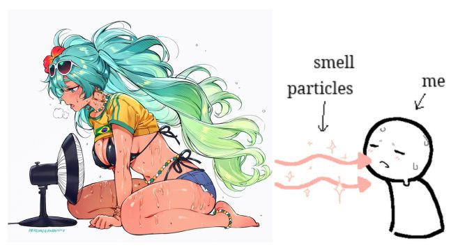 smell particles me k