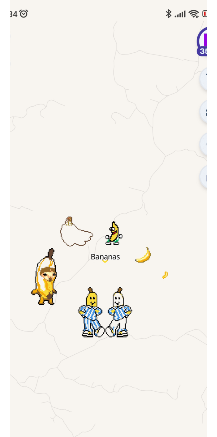 384O Bananas 35 D j