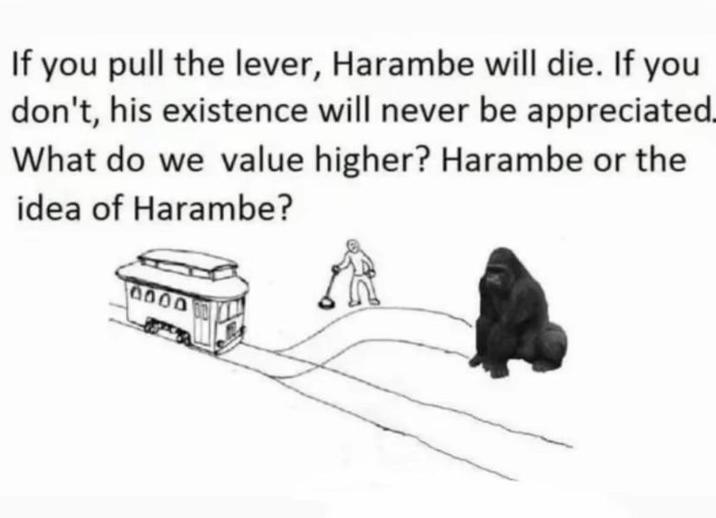 If you pull the lever, Harambe will die. If you don't, his existence will never be appreciated. What do we value higher? Harambe or the idea of Harambe? 0000