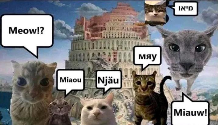 Meow!? Miaou Njäu мяу מיאו 108 Miauw!