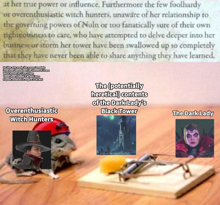 at her true power or influence, Furthermore the few foolhardy or overenthusiastic witch hunters, unaware of her relationship to the governing powers of Nuln or too fanatically sure of their own righteousness to care, who have attempted to delve deeper into her business or storm her tower have been swallowed up so completely that they have never been able to share anything they have learned. No idea who made the mouse template Lore from Tamurkhan: The Throne of Chaos Witch hunter by Liam Cullen Tower from Elspeth's WTWIII intro Elspeth rendered in engine in WTWIII Overenthusiastic Witch Hunters The (potentially heretical) contents of the Dark Lady's Black Tower THE GARDENS OF MORR, NULN The Dark Lady
