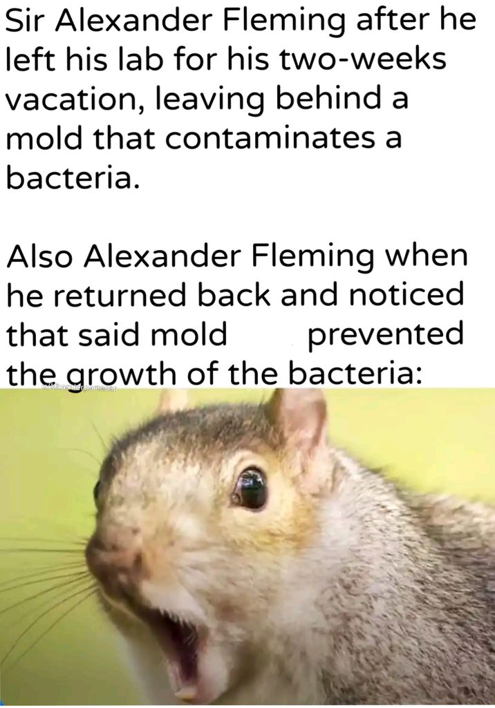 Sir Alexander Fleming after he left his lab for his two-weeks vacation, leaving behind a mold that contaminates a bacteria. Also Alexander Fleming when he returned back and noticed that said mold prevented the growth of the bacteria: