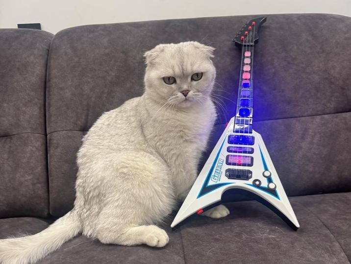 GUITAR