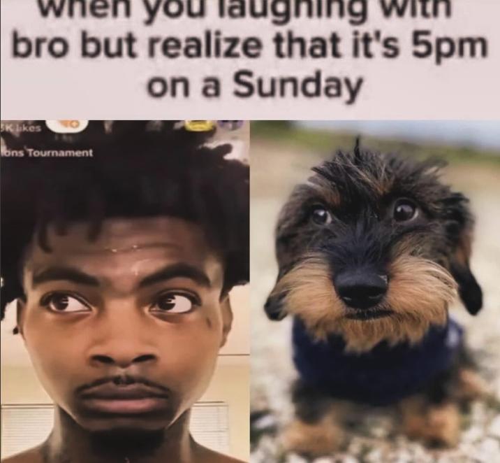 5pm u say you laughing bro but realize that it's 5pm SK likes fons Tournament on a Sunday