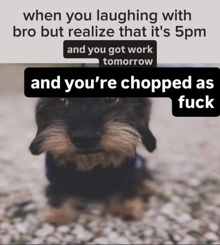 when you realize ur chopped when you laughing with bro but realize that it's 5pm and you got work tomorrow and you're chopped as f---