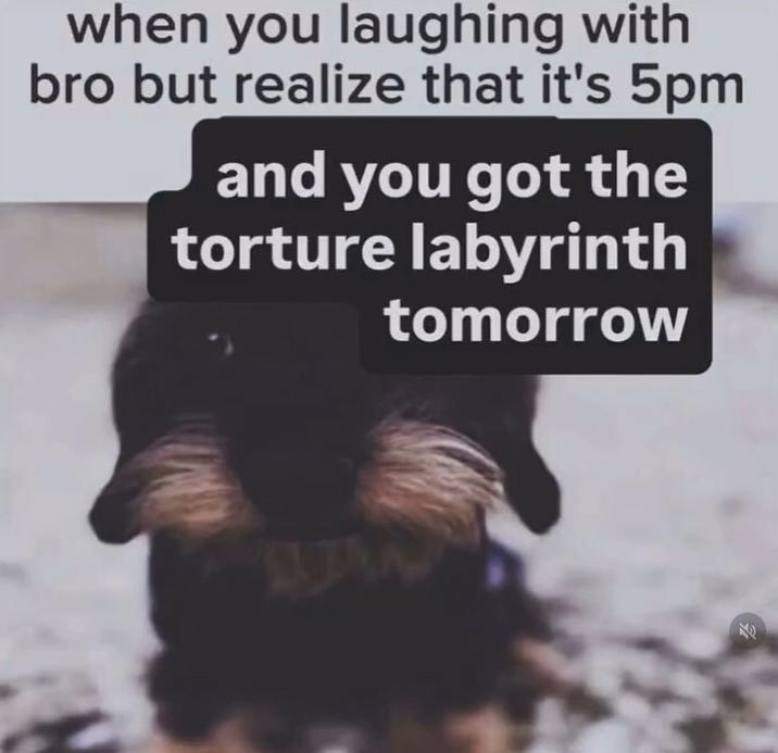 when you laughing with bro but torture labyrinth is tomorrow when you laughing with bro but realize that it's 5pm and you got the torture labyrinth tomorrow WW ˊ