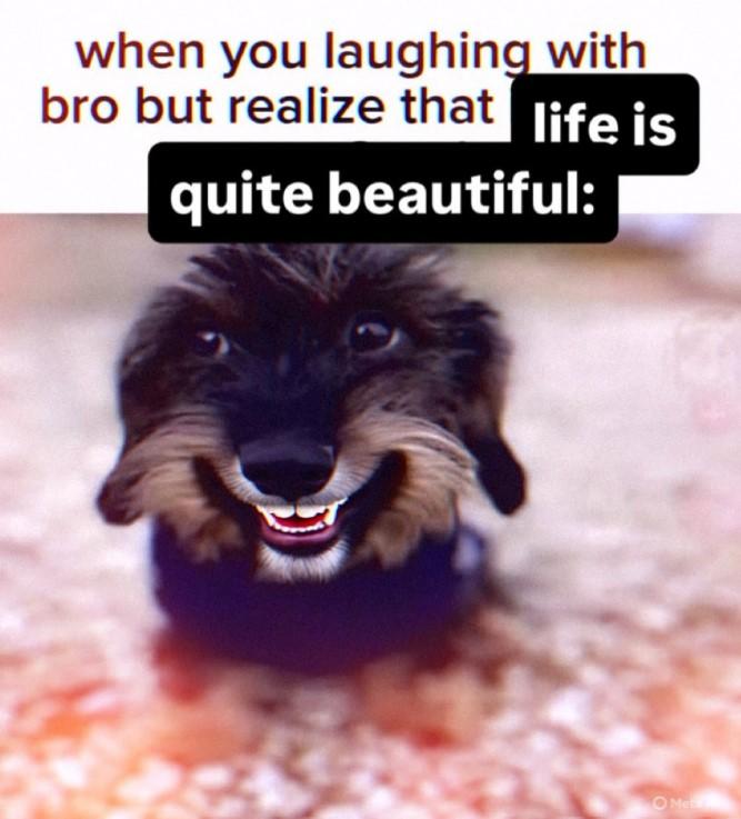 when you laughing with bro but realize that life is quite beautiful: A meme reading, "when you laughing with bro but realize that life is quite beautiful."