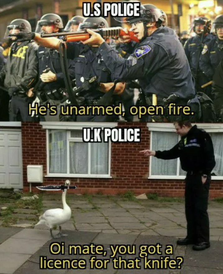 May 29th, 2020 "Loicense" 9Gag Post 9Gag user coolstorybro658 posted a meme comparing American police forces to British ones, joking about the British police officer asking a goose for a knife license. The post gathered over 7,000 likes in five years.