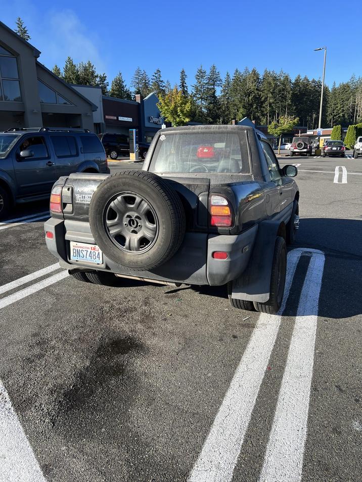 RAKS SHITBOY WASHINGTON DE BNS7484 Chipper A