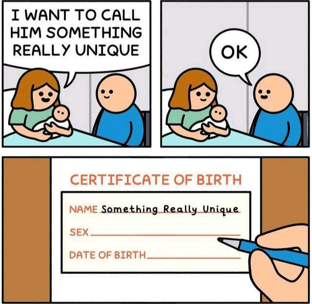 I WANT TO CALL HIM SOMETHING REALLY UNIQUE OK CERTIFICATE OF BIRTH NAME Something Really Unique DATE OF BIRTH.