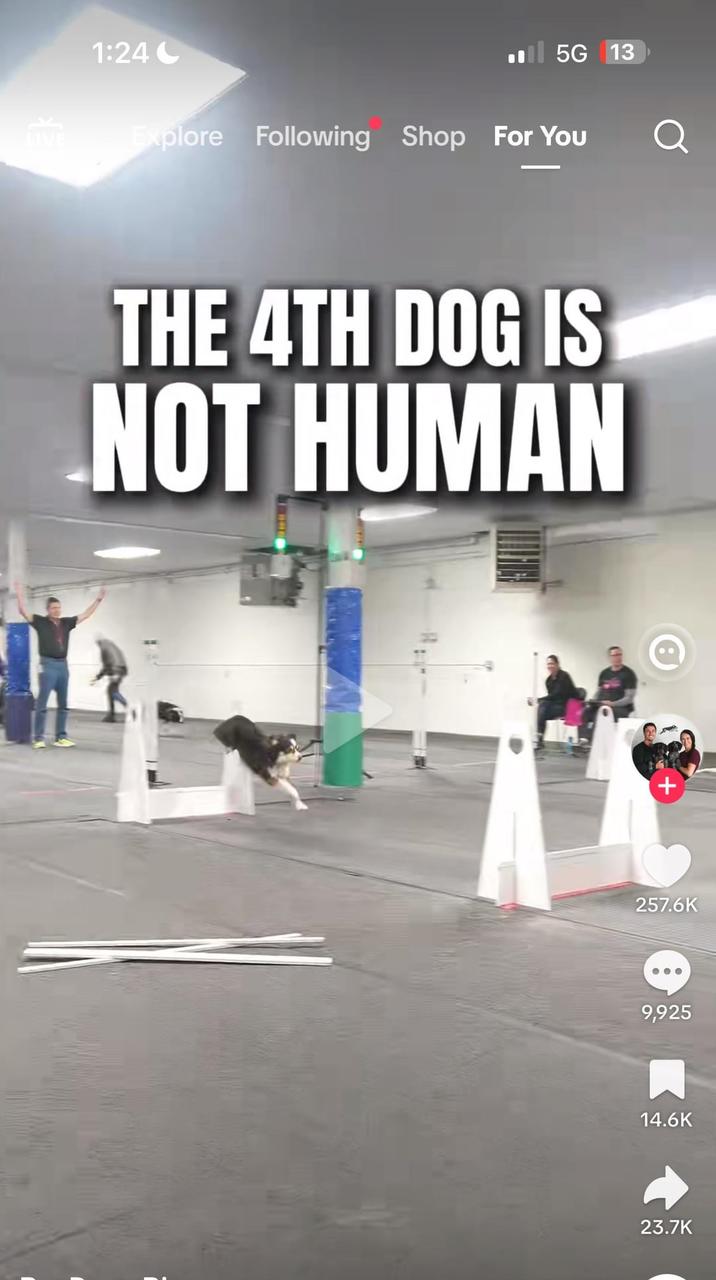 1:24 5G 13 LIVE Explore Following Shop For You THE 4TH DOG IS NOT HUMAN + 257.6K 000 9,925 14.6K 23.7K