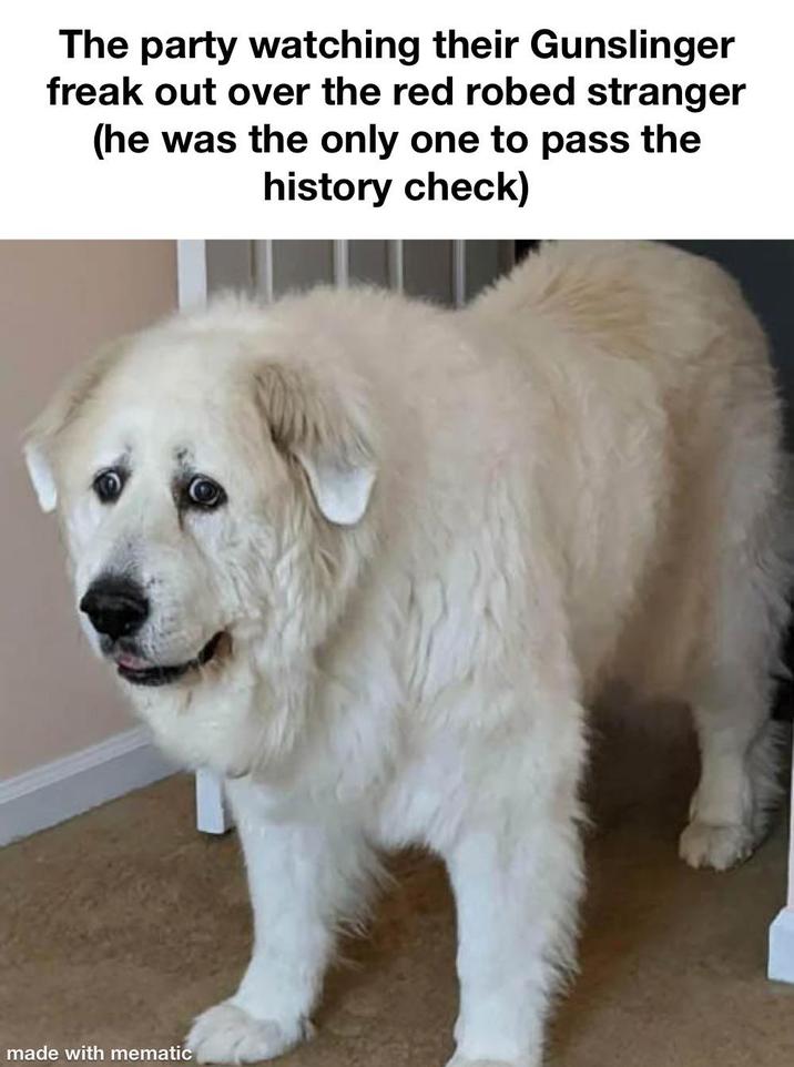 The party watching their Gunslinger freak out over the red robed stranger (he was the only one to pass the history check) made with mematic