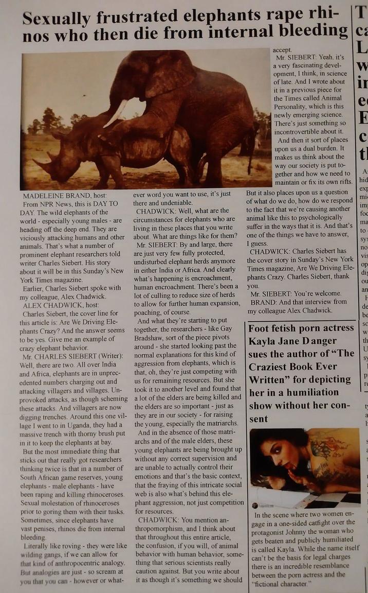 Sexually frustrated elephants r--- rhi- |T nos who then die from internal bleeding ca MADELEINE BRAND, host: From NPR News, this is DAY TO DAY. The wild elephants of the world - especially young males are heading off the deep end. They are viciously attacking humans and other animals. That's what a number of prominent elephant researchers told writer Charles Siebert. His story about it will be in this Sunday's New York Times magazine. Earlier, Charles Siebert spoke with my colleague, Alex Chadwick. ALEX CHADWICK, host: Charles Siebert, the cover line for this article is: Are We Driving Ele- phants Crazy? And the answer seems to be yes. Give me an example of crazy elephant behavior. Mr. CHARLES SIEBERT (Writer): Well, there are two. All over India and Africa, elephants are in unprec- edented numbers charging out and attacking villagers and villages. Un- provoked attacks, as though scheming these attacks. And villagers are now digging trenches. Around this one vil- lage I went to in Uganda, they had a massive trench with thorny brush put in it to keep the elephants at bay. But the most immediate thing that sticks out that really got researchers thinking twice is that in a number of South African game reserves, young elephants - male elephants - have been r----- and killing rhinoceroses. Sexual molestation of rhinoceroses prior to goring them with their tusks. Sometimes, since elephants have vast penises, rhinos die from internal bleeding. Literally like roving - they were like wilding gangs, if we can allow for that kind of anthropocentric analogy. But analogies are just - so scream at you that you can - however or what- ever word you want to use, it's just there and undeniable. CHADWICK: Well, what are the circumstances for elephants who are living in these places that you write about. What are things like for them? Mr. SIEBERT: By and large, there are just very few fully protected, undisturbed elephant herds anymore in either India or Africa. And clearly what's happening is encroachment, human encroachment. There's been a lot of culling to reduce size of herds to allow for further human expansion, poaching, of course. And what they're starting to put together, the researchers - like Gay Bradshaw, sort of the piece pivots around - she started looking past the normal explanations for this kind of aggression from elephants, which is that, oh, they're just competing with us for remaining resources. But she took it to another level and found that a lot of the elders are being killed and the elders are so important - just as they are in our society - for raising the young, especially the matriarchs. And in the absence of those matri- archs and of the male elders, these young elephants are being brought up without any correct supervision and are unable to actually control their emotions and that's the basic context, that the fraying of this intricate social web is also what's behind this ele- phant aggression, not just competition for resources. CHADWICK: You mention an- thropomorphism, and I think about that throughout this entire article, the confusion, if you will, of animal behavior with human behavior, some- thing that serious scientists really caution against. But you write about it as though it's something we should accept. Mr. SIEBERT: Yeah, it's a very fascinating devel- opment, I think, in science of late. And I wrote about it in a previous piece for the Times called Animal Personality, which is this newly emerging science. There's just something so incontrovertible about it. L W in e E And then it sort of places C upon us a dual burden. It makes us think about the way our society is put to- gether and how we need to maintain or fix its own rifts. But it also places upon us a question of what do we do, how do we respond to the fact that we're causing another animal like this to psychologically suffer in the ways that it is. And that's one of the things we have to answer, I guess. tl A: hid exp mie imp foc ma to sys no vis CHADWICK: Charles Siebert has the cover story in Sunday's New York Times magazine, Are We Driving Ele- op phants Crazy. Charles Siebert, thank you. Mr. SIEBERT: You're welcome. BRAND: And that interview from my colleague Alex Chadwick. Foot fetish p--- actress Kayla Jane Danger sues the author of "The Craziest Book Ever Written" for depicting her in a humiliation show without her con- sent In the scene where two women en- gage in a one-sided catfight over the protagonist Johnny the woman who gets beaten and publicly humiliated is called Kayla. While the name itself can't be the basis for legal charges there is an incredible resemblance between the p--- actress and the "fictional character." dis ou an H de be SC W th U sy P те t a b S C