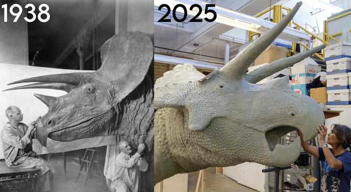 1938 2025 40 TAMS Poly-fl To