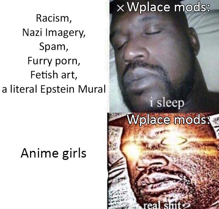 Racism, Nazi Imagery, Spam, Furry p---, Fetish art, a literal Epstein Mural Anime girls xWplace mods: i sleep Wplace mods: real s---