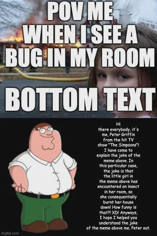 POV ME WHEN I SEE A BUG IN MY ROOM BOTTOM TEXT img.com Hi there everybody, it's me, Peter Griffin from the hit TV show "The Simpsons"! I have come to explain the joke of the meme above. In this particular case, the joke is that the little girl in the meme above has encountered an insect in her room, so she consequentially burnt her house down! How funny is that?! XD! Anyways. I hope I helped you understand the joke of the meme above me. Peter out.