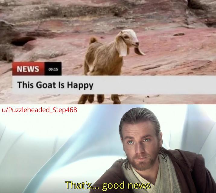 NEWS 09:15 This Goat Is Happy u/Puzzleheaded_Step468 That's... good news