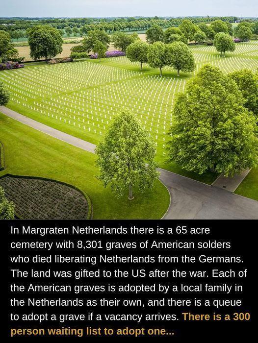 In Margraten Netherlands there is a 65 acre cemetery with 8,301 graves of American solders who died liberating Netherlands from the Germans. The land was gifted to the US after the war. Each of the American graves is adopted by a local family in the Netherlands as their own, and there is a queue to adopt a grave if a vacancy arrives. There is a 300 person waiting list to adopt one...