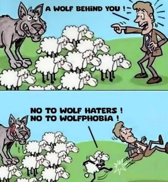 A WOLF BEHIND YOU!- NO TO WOLF HATERS! NO TO WOLFPHOBIA !