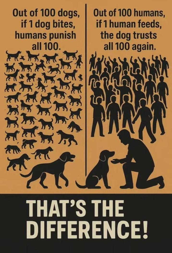 Out of 100 dogs, if 1 dog bites, humans punish all 100. Out of 100 humans, if 1 human feeds, the dog trusts all 100 again. THAT'S THE DIFFERENCE!