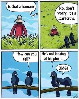 Is that a human? 33 No, don't worry. It's a scarecrow. How can you tell? He's not looking at his phone. OMG! Coala