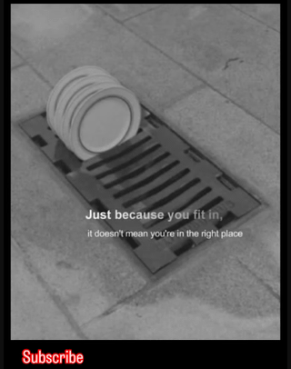 Subscribe Just because you fit in, it doesn't mean you're in the right place