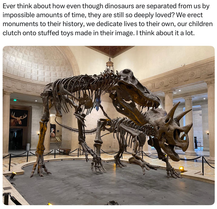 Ever think about how even though dinosaurs are separated from us by impossible amounts of time, they are still so deeply loved? We erect monuments to their history, we dedicate lives to their own, our children clutch onto stuffed toys made in their image. I think about it a lot.