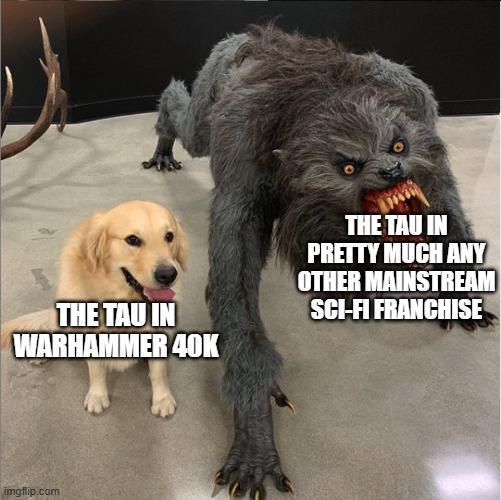 THE TAU IN WARHAMMER 40K THE TAU IN PRETTY MUCH ANY OTHER MAINSTREAM SCI-FI FRANCHISE imgflip.com