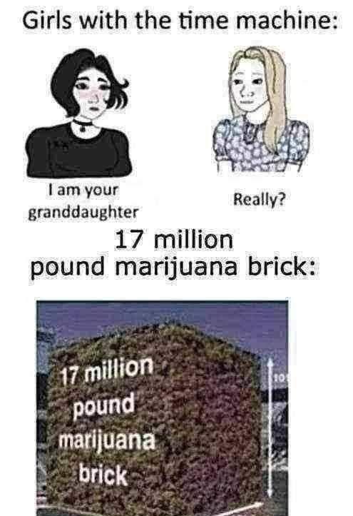 Girls with the time machine: I am your granddaughter 17 million Really? pound marijuana brick: 17 million pound marijuana brick 10