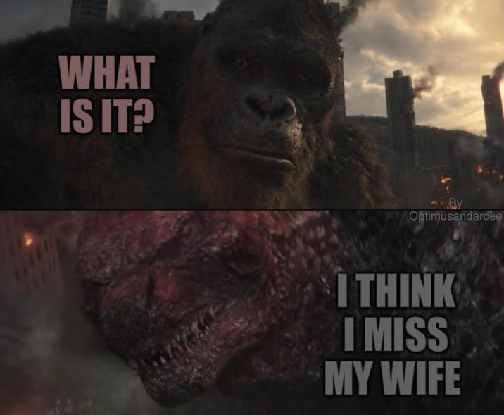 WHAT IS IT? By Optimusandarcee I THINK I MISS MY WIFE