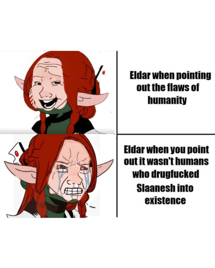 Eldar when pointing out the flaws of humanity 30 Eldar when you point out it wasn't humans who drugfucked Slaanesh into existence