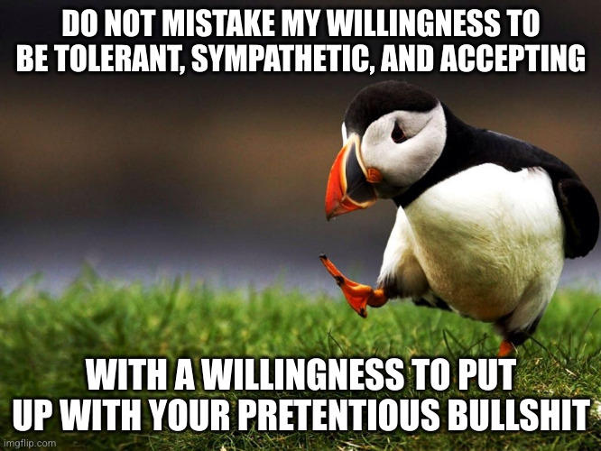 DO NOT MISTAKE MY WILLINGNESS TO BE TOLERANT, SYMPATHETIC, AND ACCEPTING WITH A WILLINGNESS TO PUT UP WITH YOUR PRETENTIOUS B------- imgflip.com
