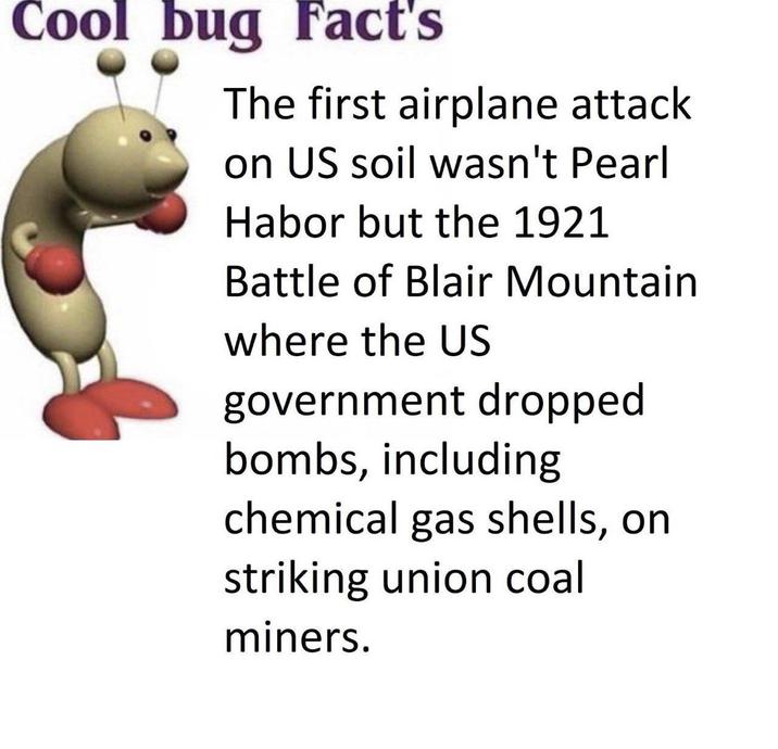 Cool bug Fact's The first airplane attack on US soil wasn't Pearl Habor but the 1921 Battle of Blair Mountain where the US government dropped bombs, including chemical gas shells, on striking union coal miners.