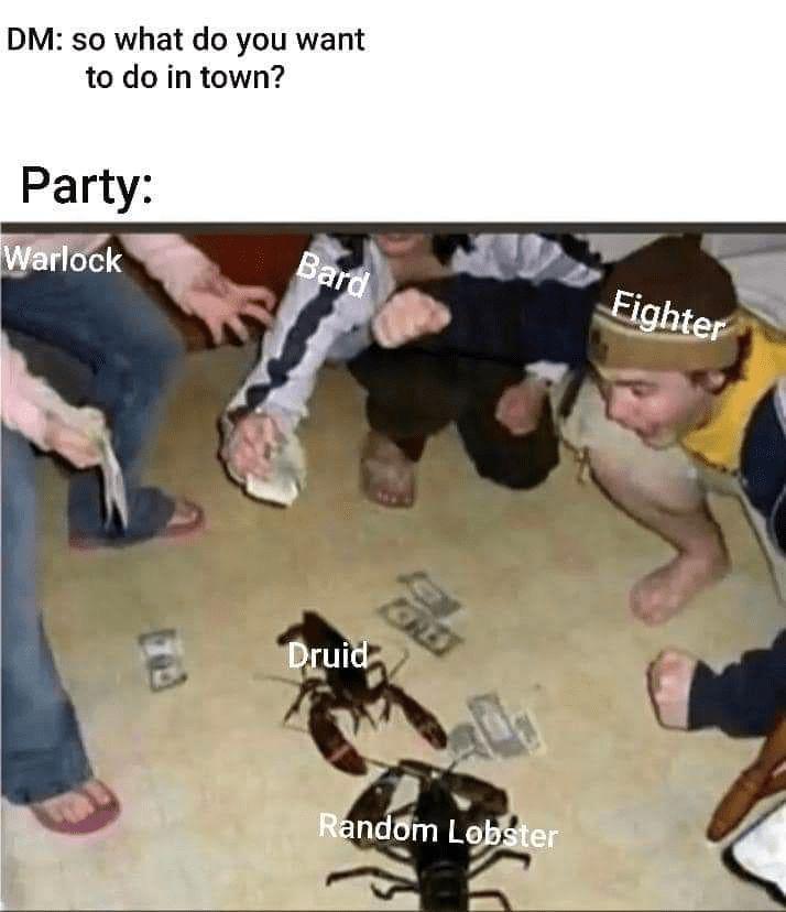 DM: so what do you want to do in town? Party: Warlock Fighter Bard ED Druid Random Lobster
