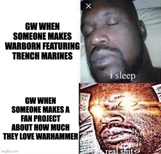 GW WHEN SOMEONE MAKES WARBORN FEATURING TRENCH MARINES GW WHEN SOMEONE MAKES A FAN PROJECT ABOUT HOW MUCH THEY LOVE WARHAMMER imgflip.com X i sleep real s---