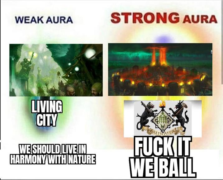 WEAK AURA STRONG AURA LIVING CITY WE SHOULD LIVE IN HARMONY WITH NATURE GREYWATER F--- IT WE BALL E
