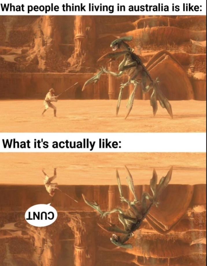 What people think living in australia is like: What it's actually like: LNN THE-ETRNAL EMPEROR