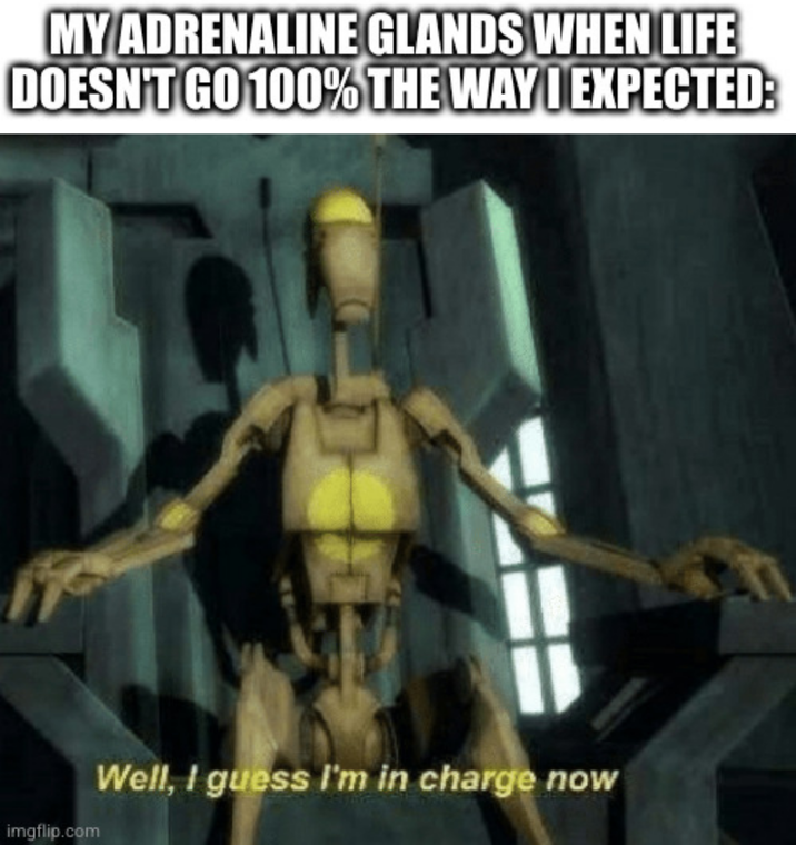 MY ADRENALINE GLANDS WHEN LIFE DOESN'T GO 100% THE WAY EXPECTED: imgflip.com Well, I guess I'm in charge now