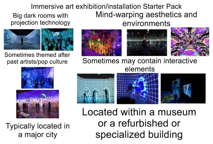 Immersive art exhibition/installation Starter Pack Big dark rooms with projection technology Mind-warping aesthetics and environments Sometimes themed after past artists/pop culture Sometimes may contain interactive elements Located within a museum Typically located in a major city or a refurbished or specialized building