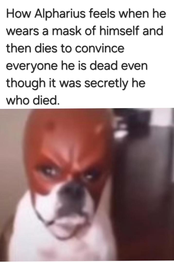 How Alpharius feels when he wears a mask of himself and then dies to convince everyone he is dead even though it was secretly he who died.