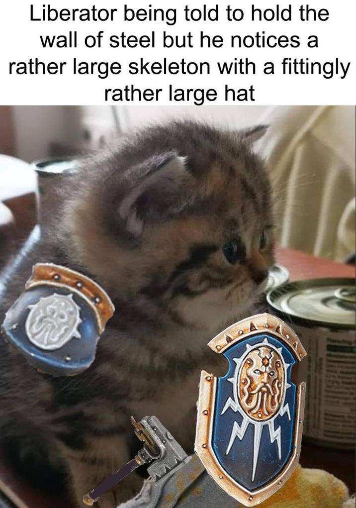 Liberator being told to hold the wall of steel but he notices a rather large skeleton with a fittingly rather large hat