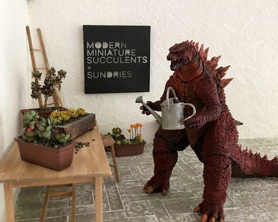 MODERN MINIATURE SUCCULENTS SUNDRIES