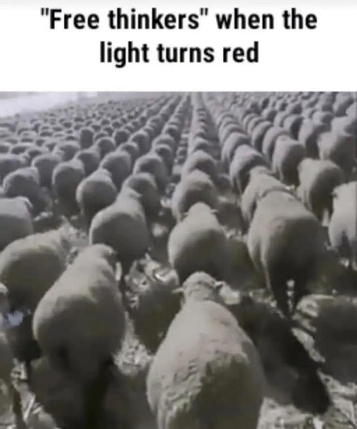 "Free thinkers" when the light turns red