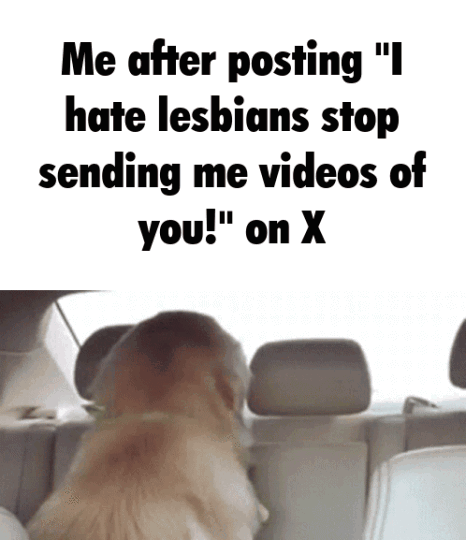 Me after posting "I hate lesbians stop sending me videos of you!" on X