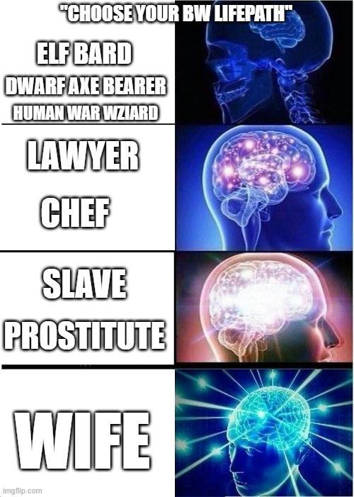 "CHOOSE YOUR BW LIFEPATH" ELF BARD DWARF AXE BEARER HUMAN WAR WZIARD LAWYER CHEF SLAVE PROSTITUTE WIFE imgflip.com