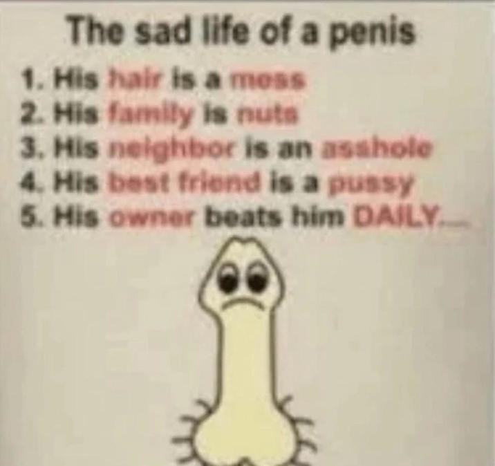 The sad life of a penis 1. His hair is a mess 2. His family is nuts 3. His neighbor is an a------ 4. His best friend is a p---- 5. His owner beats him DAILY
