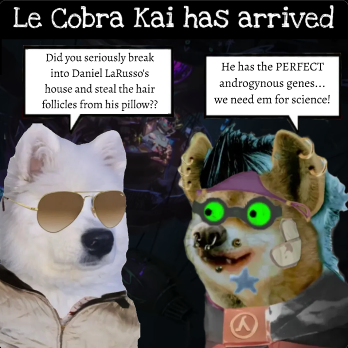 Le Cobra Kai has arrived Did you seriously break into Daniel LaRusso's house and steal the hair follicles from his pillow?? He has the PERFECT androgynous genes... we need em for science!