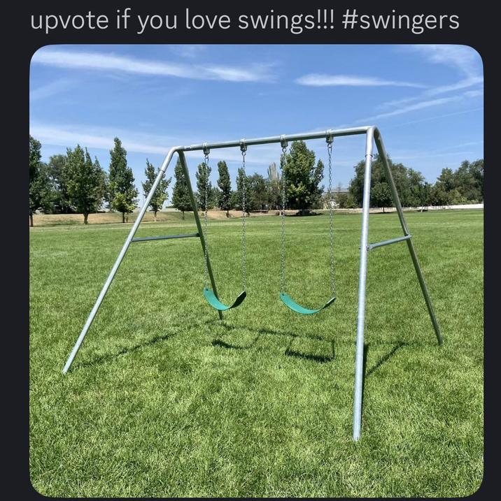 upvote if you love swings!!! #swingers